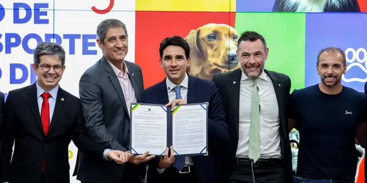 Governo anuncia novas regras para transporte aéreo de pets