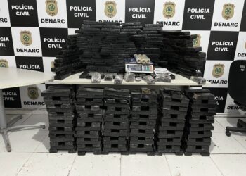 Polícia Civil apreende 198kg de maconha em imóvel localizado na cidade de Salgado