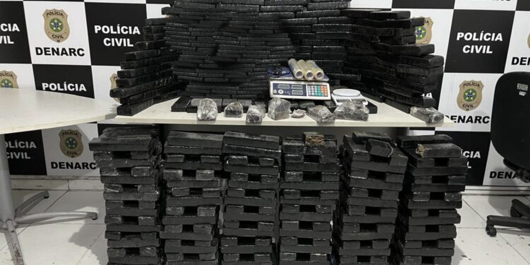 Polícia Civil apreende 198kg de maconha em imóvel localizado na cidade de Salgado