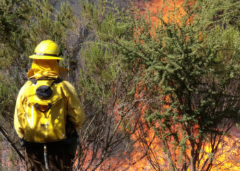 Brigadistas ganham R$ 1.412 para combater chamas no Brasil