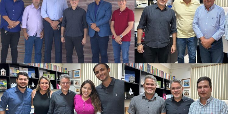 Senador Alessandro recebe prefeitos e vereadores aliados eleitos no último pleito