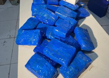Polícia apreende 24 kg de cocaína em operação em Propriá