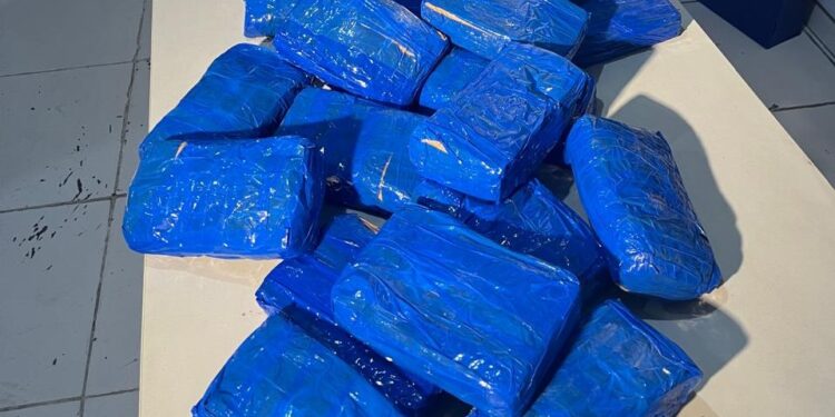 Polícia apreende 24 kg de cocaína em operação em Propriá