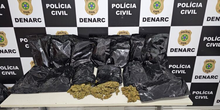 Durante investigações Polícia Civil apreende 7kg de ‘flor de cannabis’