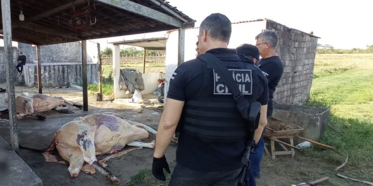 Ação desativa abatedouro clandestino de gado no município sergipano de Propriá