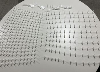 Polícia Civil prende homem em flagrante por tráfico de drogas ao flagrá-lo em entrega de cocaína em Itabaiana