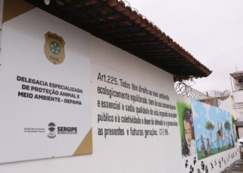 Polícia Civil resgata animal vítima de maus-tratos no bairro Bugio, em Aracaju