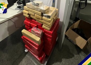 Polícia Militar apreende quase 100 Kg de drogas em Nossa Senhora do Socorro