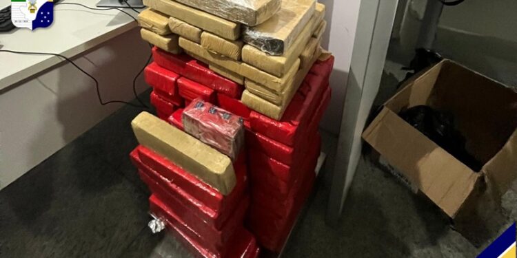 Polícia Militar apreende quase 100 Kg de drogas em Nossa Senhora do Socorro