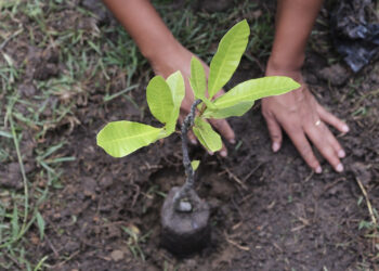 MPF e Incra discutem assentamento para regularização de terras no município sergipano de São Cristóvão