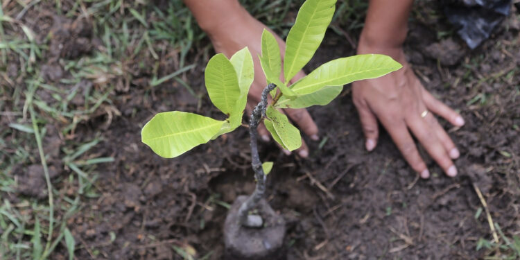 MPF e Incra discutem assentamento para regularização de terras no município sergipano de São Cristóvão