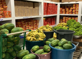 Conselho de Alimentação Escolar aprova contas da alimentação escolar por unanimidade