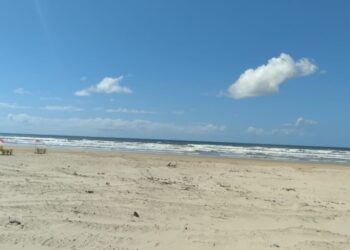 Todas as praias de Sergipe estão apropriadas para o banho, diz Adema