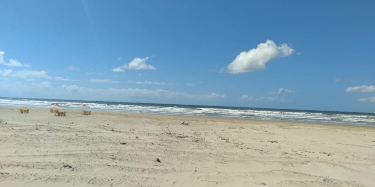 Todas as praias de Sergipe estão apropriadas para o banho, diz Adema