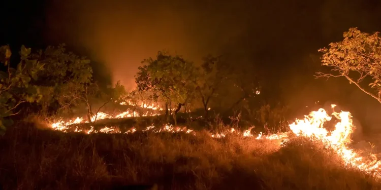 Brasil reduz em 12% emissões de gases do efeito estufa em 2023
