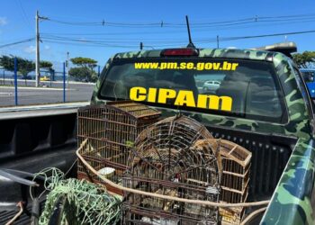 Polícia Militar resgata aves silvestres em Aracaju