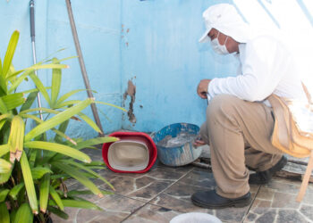 SES divulga último LIRAa do ano e identifica apenas três municípios com alta infestação do Aedes aegypti