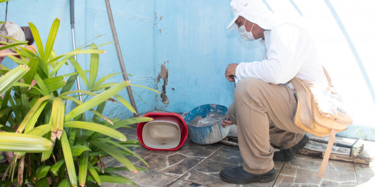 SES divulga último LIRAa do ano e identifica apenas três municípios com alta infestação do Aedes aegypti