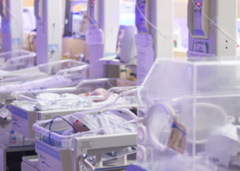 Complexo Neonatal da MNSL oferta cuidado especializado