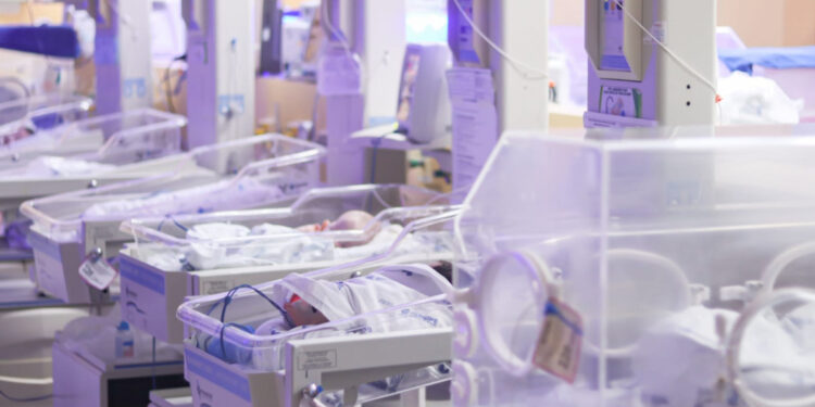 Complexo Neonatal da MNSL oferta cuidado especializado