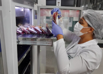 Hemose registra mais de 24 mil doações de sangue em dez meses