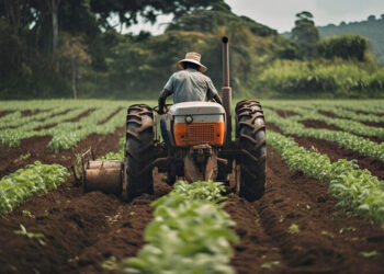 Recuperação judicial no agronegócio dispara com custo maior, preço menor e clima