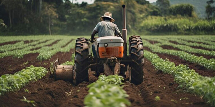 Recuperação judicial no agronegócio dispara com custo maior, preço menor e clima