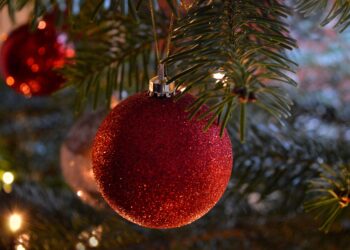 Decoração de Natal: Energisa orienta sobre os principais cuidados