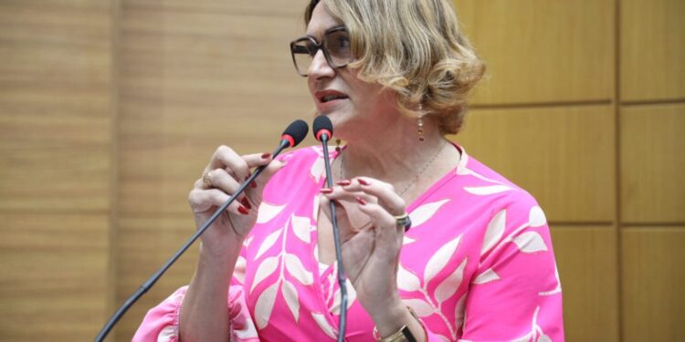 Deputada Linda Brasil quer garantir políticas públicas para PCDs na Lei Orçamentária