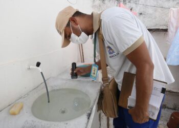 PMA alerta sobre período de férias e a incidência do Aedes aegypti nas residências