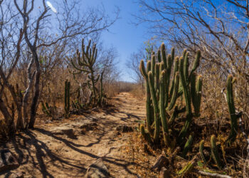 Semac emite aviso para possibilidade de baixa umidade em Sergipe