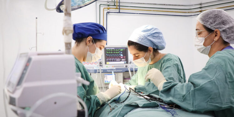 Ampliação dos serviços e procedimentos inéditos marcaram 2024 no Hospital de Urgências de Sergipe