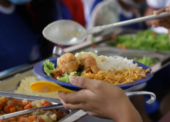 Mais de 65% dos alimentos adquiridos para a merenda escolar são provenientes da agricultura familiar