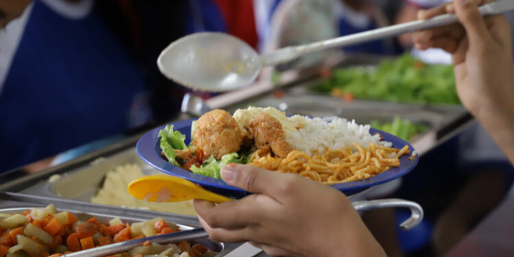 Mais de 65% dos alimentos adquiridos para a merenda escolar são provenientes da agricultura familiar