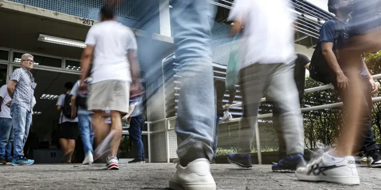 Concurso do Ibama terá 460 vagas com salários de R$ 9.994,60