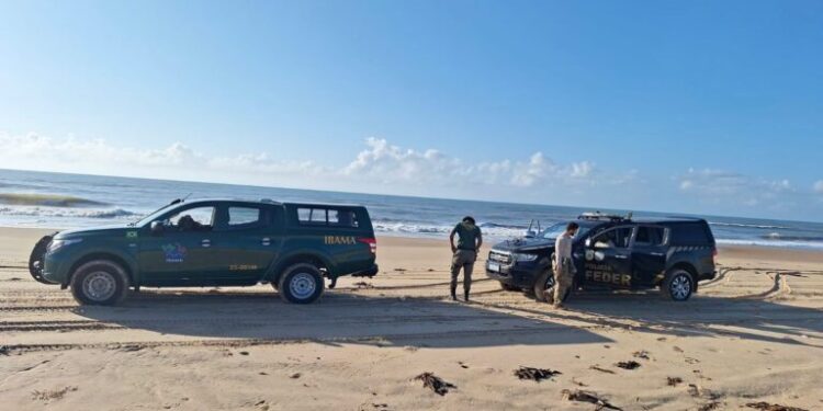 Operação combate pesca irregular e crimes ambientais no litoral de SE