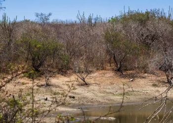 Seca grave se mantém nos territórios de Sergipe