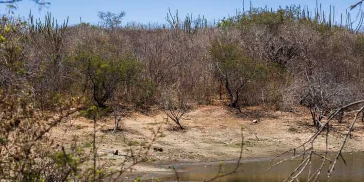 Seca grave se mantém nos territórios de Sergipe