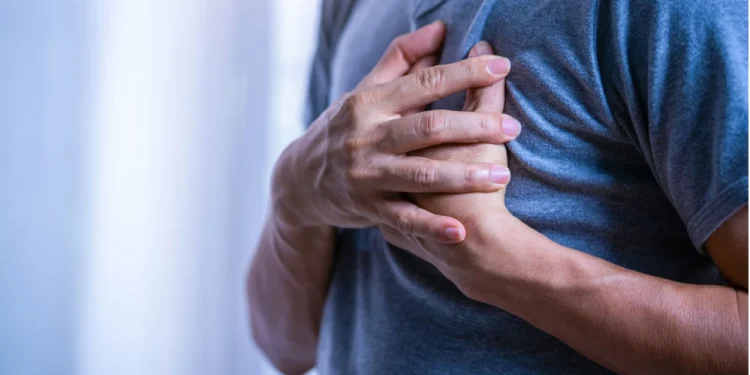 Gordura muscular pode aumentar risco de doenças cardíacas, diz estudo