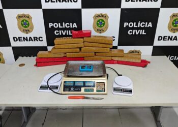 Polícia Civil apreende 17kg de maconha e prende suspeito de tráfico de drogas na Zona Norte de Aracaju