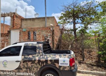 Prefeitura de Itabaiana alerta sobre riscos de quedas de árvores durante chuvas intensas