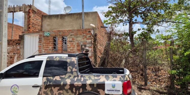 Prefeitura de Itabaiana alerta sobre riscos de quedas de árvores durante chuvas intensas