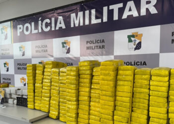 Segurança Pública apreende seis toneladas de drogas durante 2024
