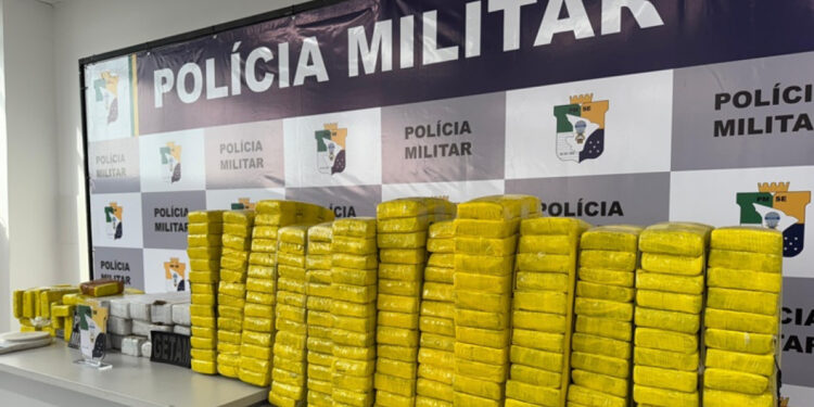 Segurança Pública apreende seis toneladas de drogas durante 2024