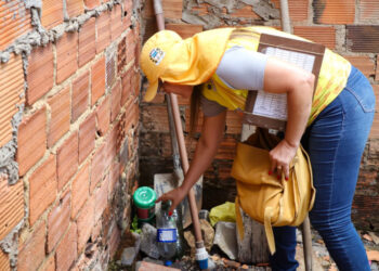 SES divulga primeiro LIRAa do ano e identifica dois municípios sergipanos com alta infestação do Aedes aegypti
