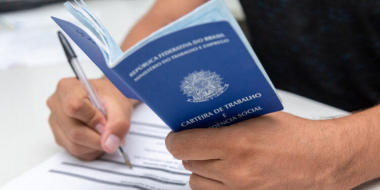 NAT divulga 53 vagas de emprego em aberto nesta segunda-feira, 6