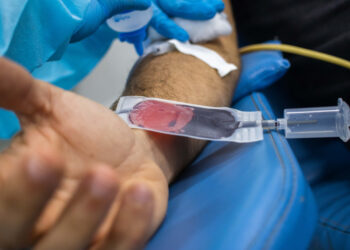 Hemose registra aumento modesto nas doações em 2024 e reforça necessidade de novos doadores 
