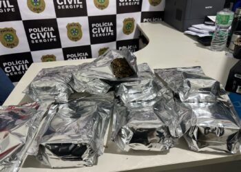 Polícia Civil prende mulher por tráfico de drogas ao flagrá-la com 5kg de maconha ‘skunk’ em Tobias Barreto