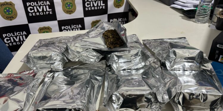Polícia Civil prende mulher por tráfico de drogas ao flagrá-la com 5kg de maconha ‘skunk’ em Tobias Barreto