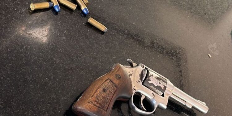 Polícia Civil prende homem em flagrante por posse ilegal de arma de fogo em Arauá